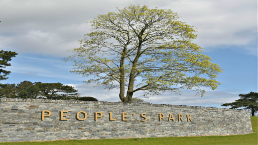Find Out More About Peoples Park, Portadown